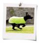 Preview: Horseware Rambo Hundedecke XXXL