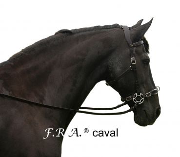 Caval/ Cavemore Trense (Syst.2)