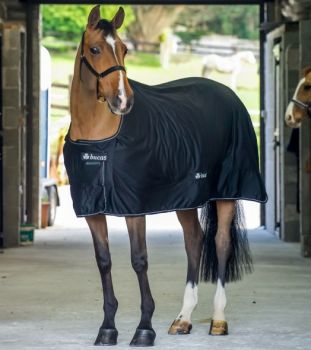 Bucas Shamrock Power schwarz