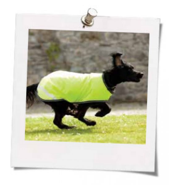 Horseware Rambo Hundedecke XXXL