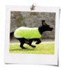 Horseware Rambo reflektierende wasserdichte Hundedecke Gr. S