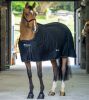 Bucas Shamrock Power schwarz