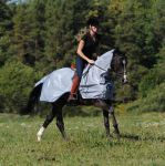 Bucas Buzz-off riding silber Gr. 135